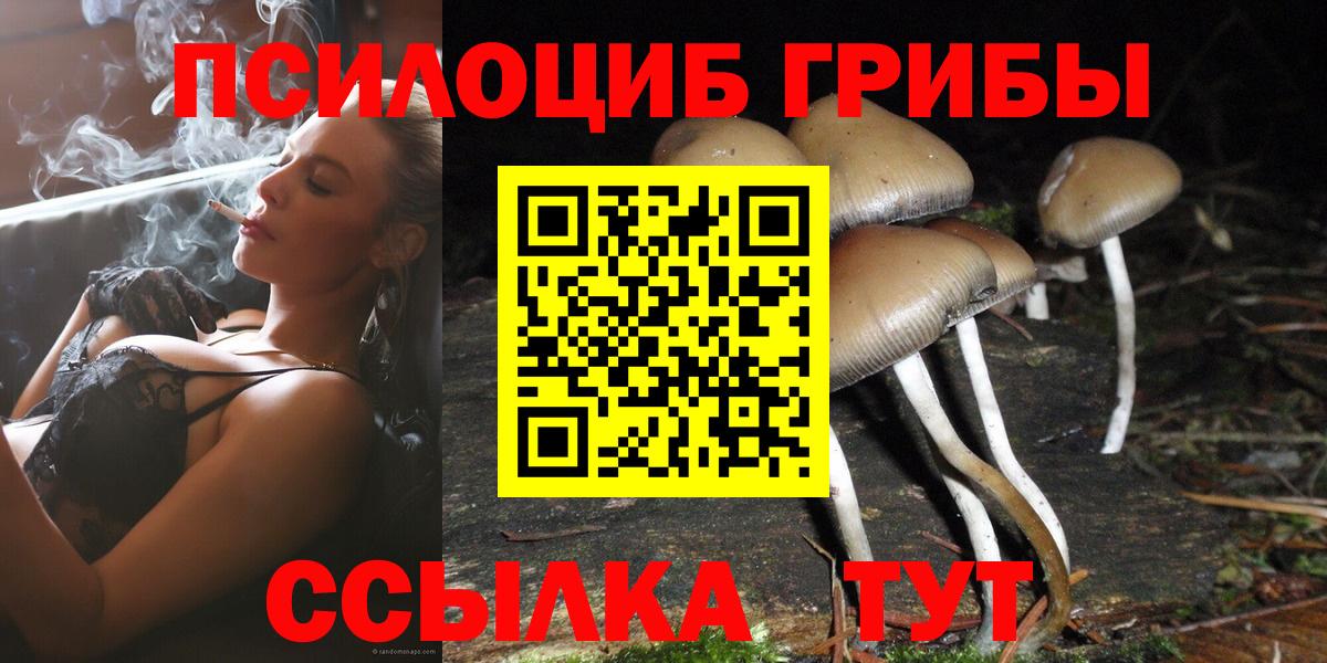 Гусь-Хрустальный  Галлюциногенные грибы Psilocybine cubensis  Псилоцибиновые грибы мицелий  Вход с VPN 