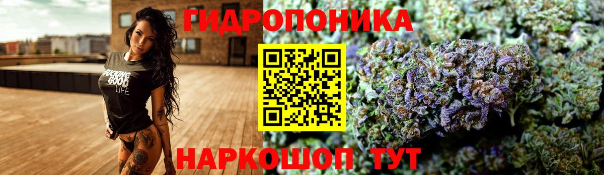Каннабис сатива Гусь-Хрустальный